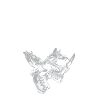 Crushing Skull Powerlifting