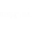 LES BROWNIES RÉPARENT TOUT