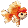 Schleierschwanz Oranda Goldfisch