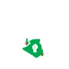 The best are Algerians