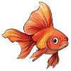 Veiltail Goldfish