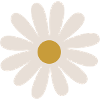 Gänseblümchen