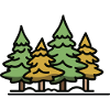 Forest Trees