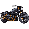 Motorcycle Biker