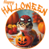 Halloween Araignée Gecko