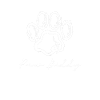 Paw Buddy