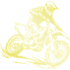 Motocross Bike Gold