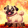 Pug 3