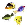 Various fish