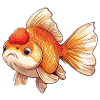 Veiltail Goldfish