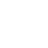 Conception du nom Leo