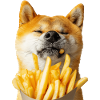 Shiba Inu
