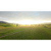 Beautiful view