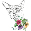 Cat with flowers