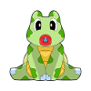Turtle Baby Pacifier