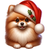 Pomeranian Dog Santa