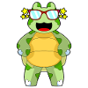 Turtle Sunglasses