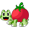 Turtle Tomato