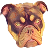 Carlo