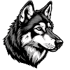 Portrait d’un loup éblouissant