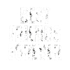 BEST FRIENDS FOREVER