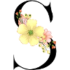 Elegant letter 'S' with flowers