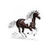 Fière cavalière frisonne