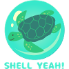 Shell Yeah!