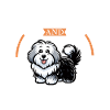 Coffee and Bobtail