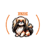 Café et Pékinois
