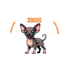Café et viringo péruvien