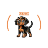 Coffee and Plott Hound
