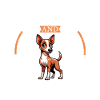 Café et Podenco Canario