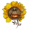 le miel et les abeilles
