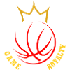 Basketball T-shirts,Hoodies,Caps in crown design
