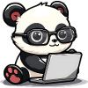 Panda Cartoon che lavora sul computer portatile con gli occhiali