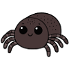 Spider Tarantula
