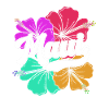 Maui Hawaii Hawaiian