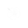 Maui Hawaii Hawaiian