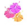 Maui Hawaii Hawaiian