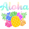 Maui Hawaii Hawaiian