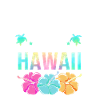 Maui Hawaii Hawaiian