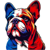French Bulldog Dog