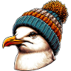 Gull