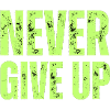 NEVER GIVE UP