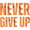 NEVER GIVE UP