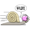 Racing snail - now also in pink