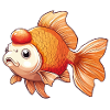 Veiltail Oranda Goldfish