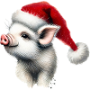 Weihnachtsferkel mit Nikolausmütze