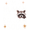 Raccoon